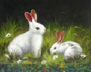 unknow artist Rabbit oil on canvas